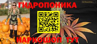 амф Конаково